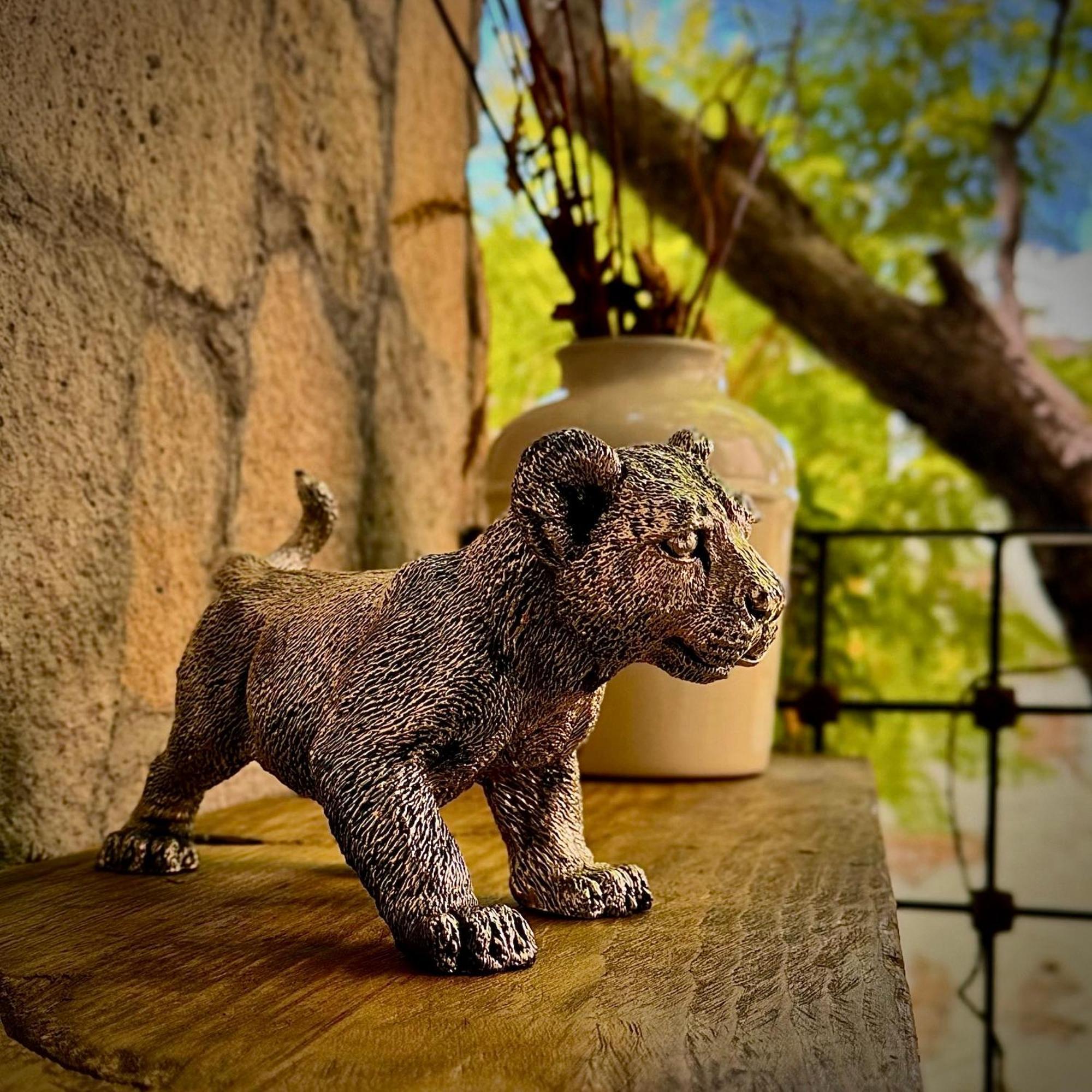 Hotel Boutique Casa Laja San Miguel de Allende Exteriér fotografie